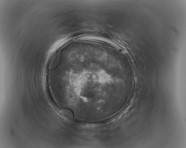 X0000115100149200911101551