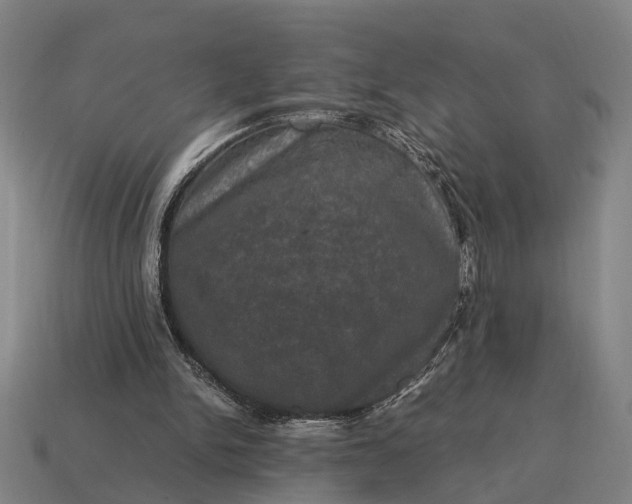 X0000115100150200911101551