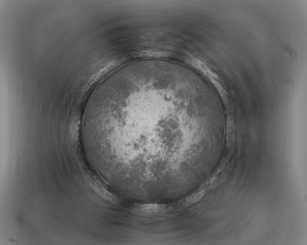X0000115100153200911101552