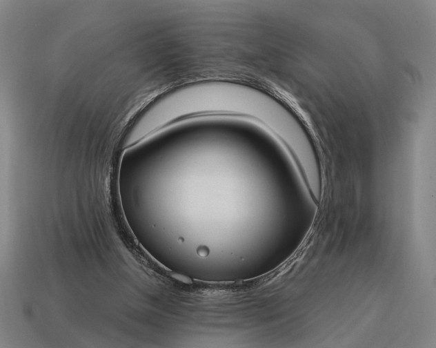 X0000115100154200911101552