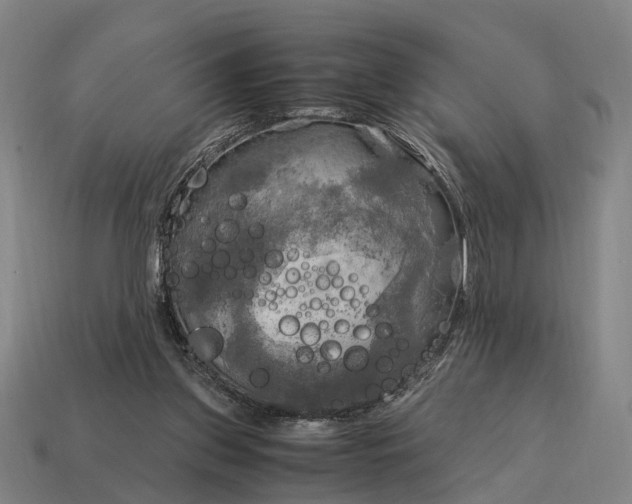 X0000115100157200911101552