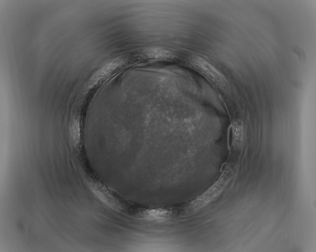 X0000115100158200911101552