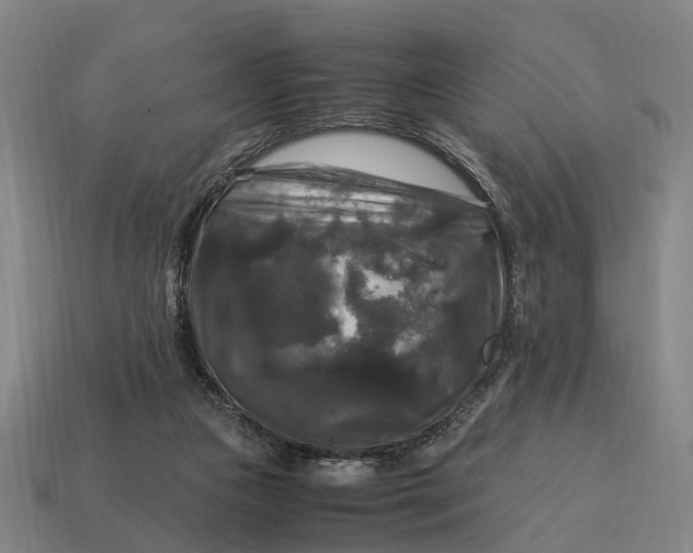 X0000115100161200911101552