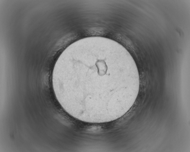 X0000115100162200911101552