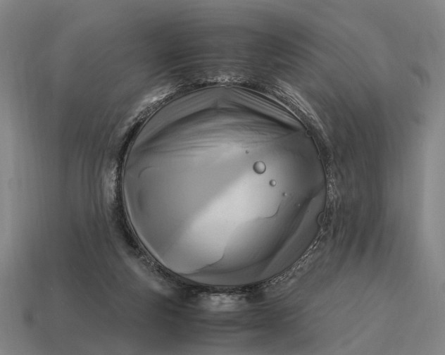 X0000115100163200911101552