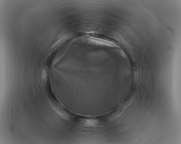 X0000115100165200911101552