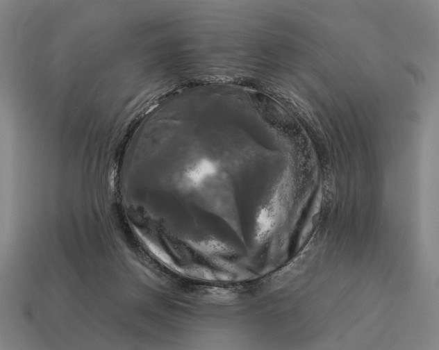 X0000115100166200911101552