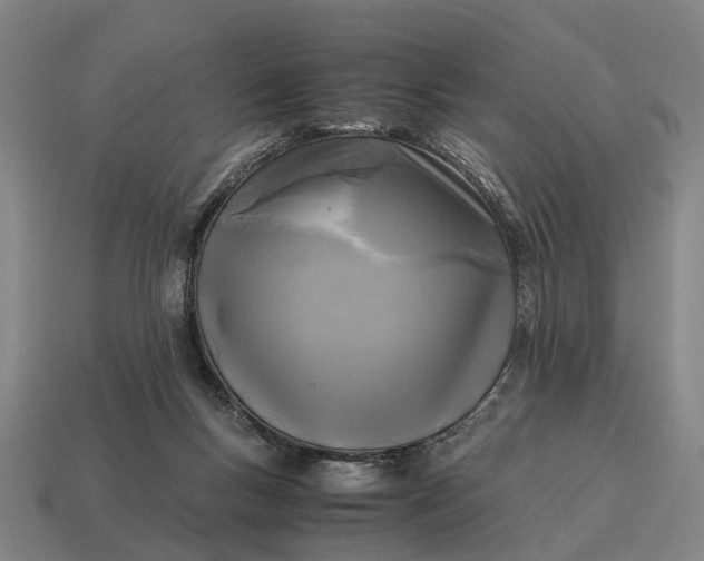 X0000115100167200911101552