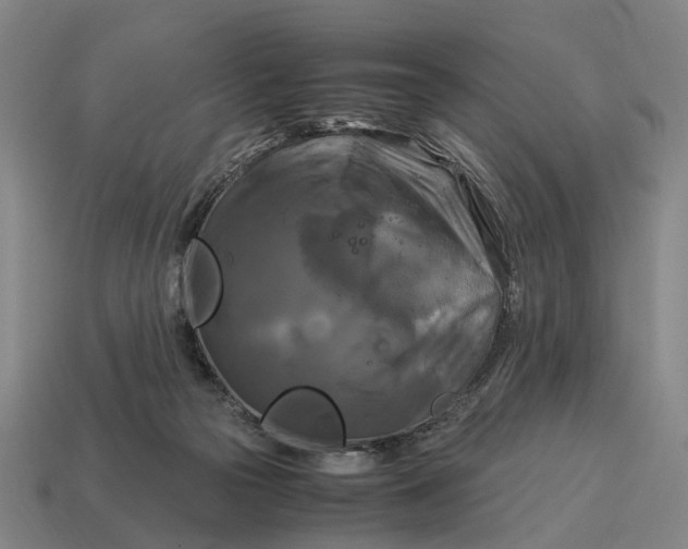 X0000115100169200911101552