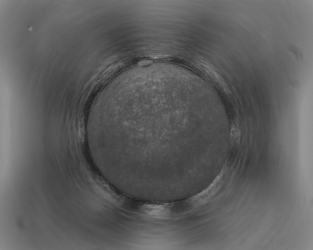 X0000115100170200911101552