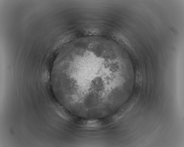 X0000115100173200911101552