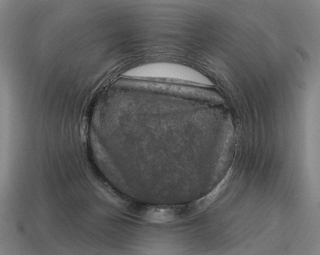 X0000115100174200911101552