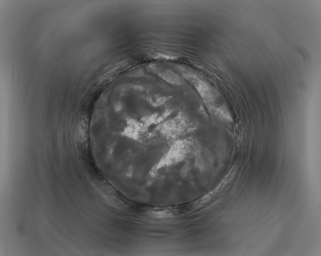 X0000115100175200911101552