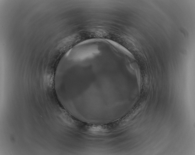 X0000115100177200911101552