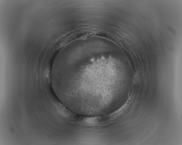 X0000115100178200911101552