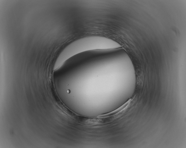 X0000115100179200911101552