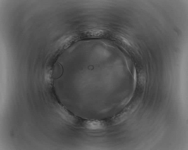 X0000115100181200911101552