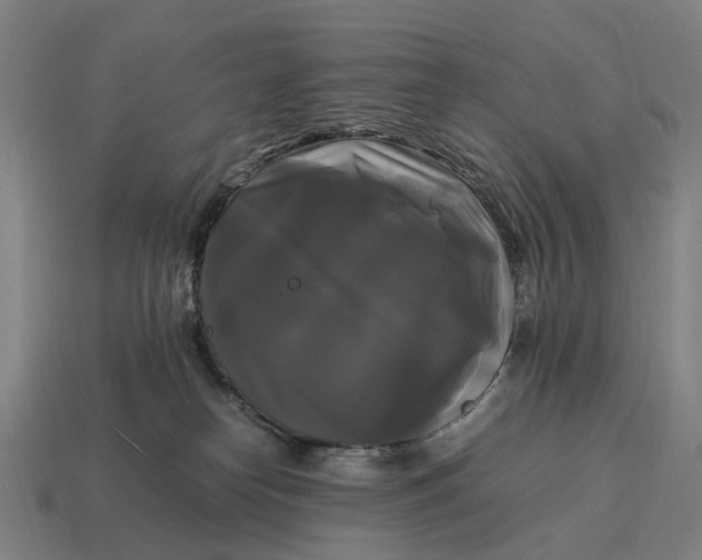 X0000115100182200911101552