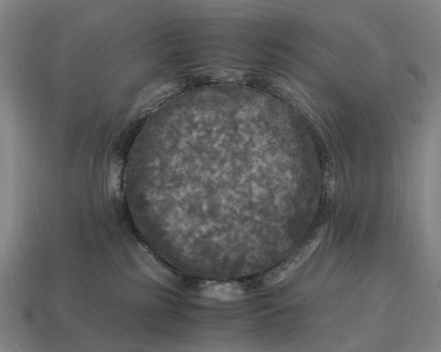 X0000115100185200911101552