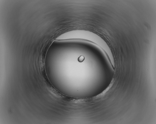 X0000115100186200911101552