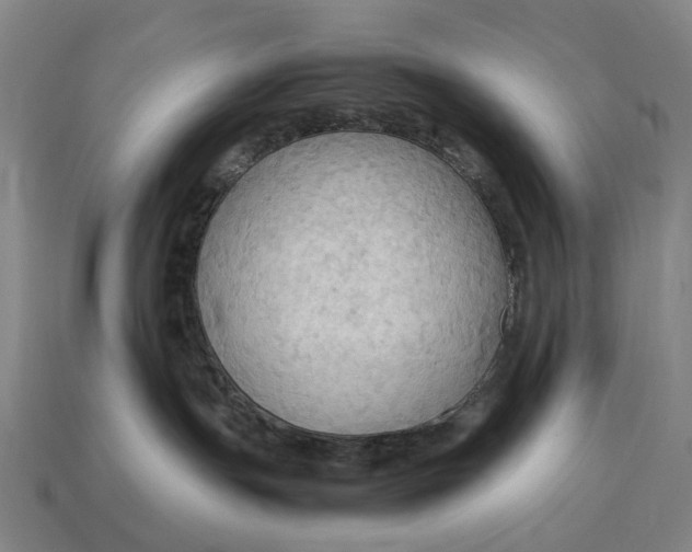 X0000115100191200911101552