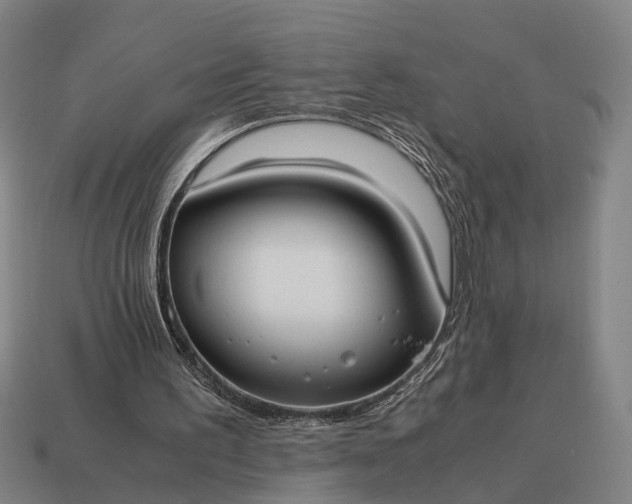 X0000115100195200911101551