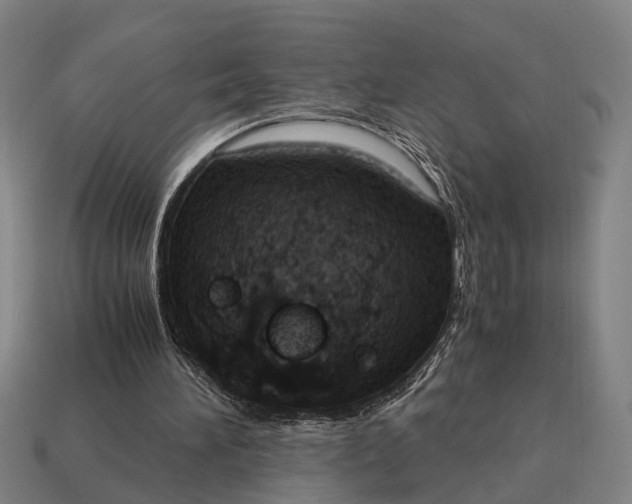 X0000115100196200911101551