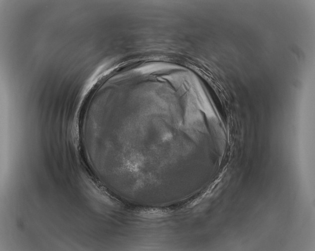 X0000115100198200911101551