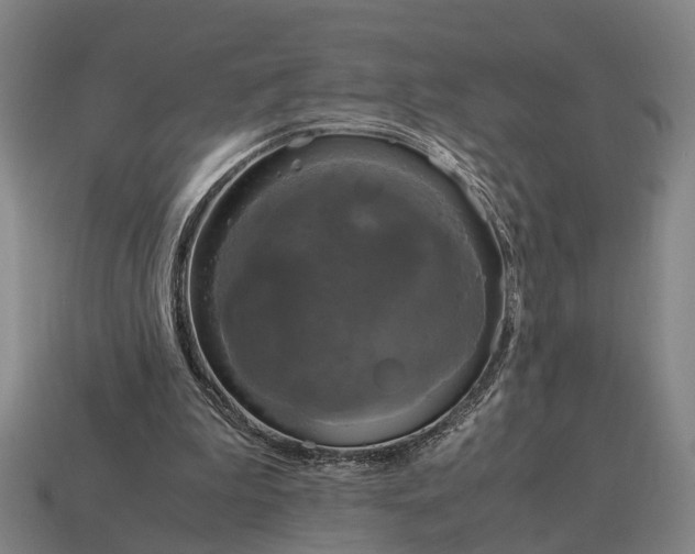 X0000115100199200911101551