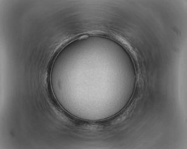 X0000115100201200911101551