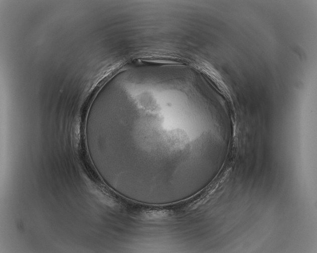 X0000115100202200911101551