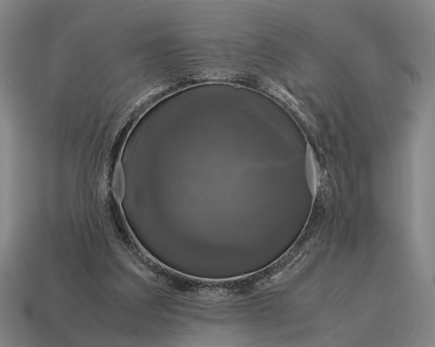 X0000115100203200911101551