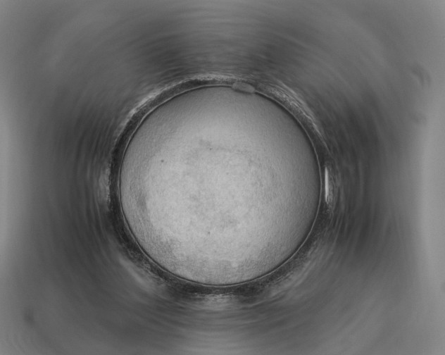 X0000115100204200911101551
