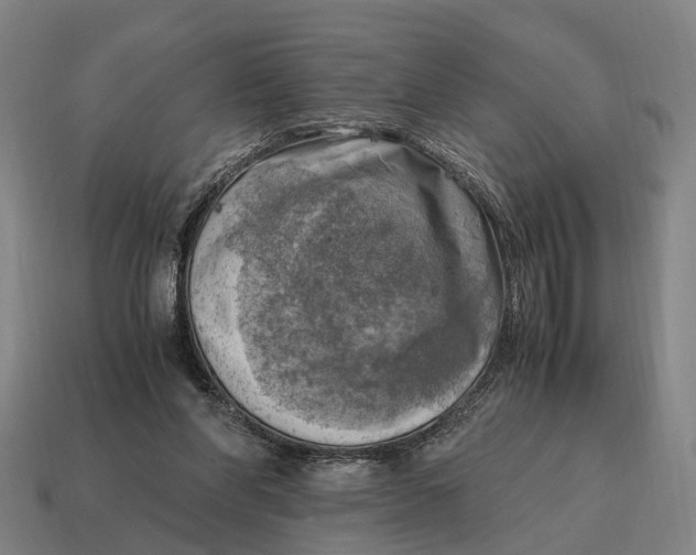 X0000115100206200911101551