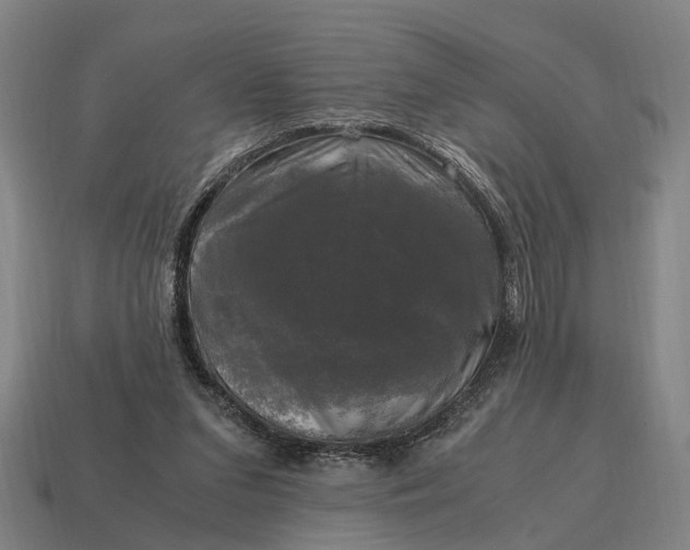 X0000115100207200911101551