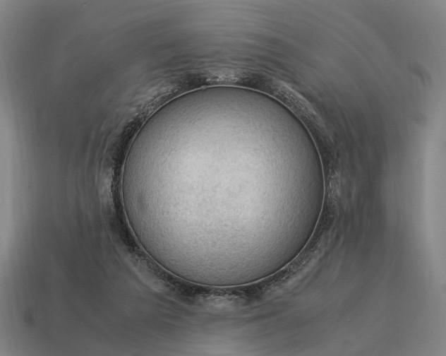X0000115100209200911101551