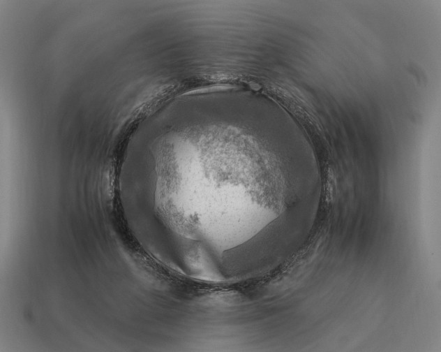 X0000115100210200911101551