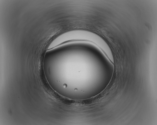 X0000115100211200911101551