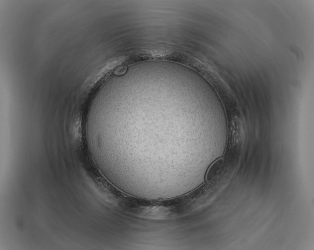 X0000115100212200911101551