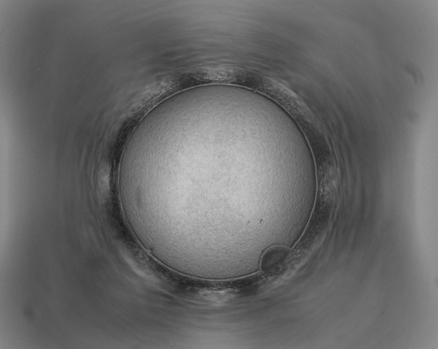 X0000115100213200911101551