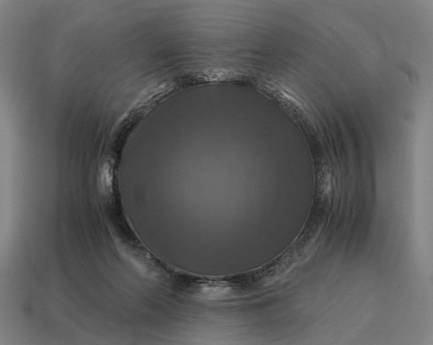X0000115100214200911101551