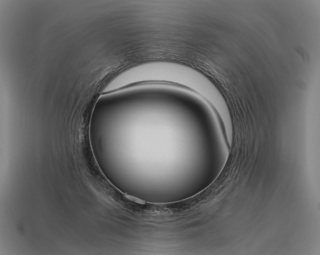 X0000115100215200911101551