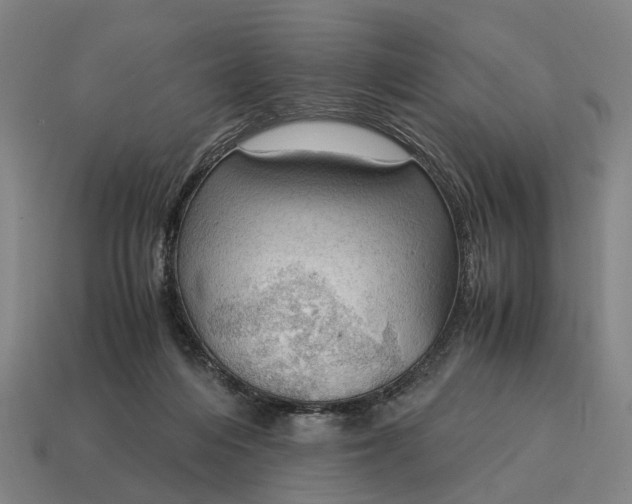 X0000115100216200911101551
