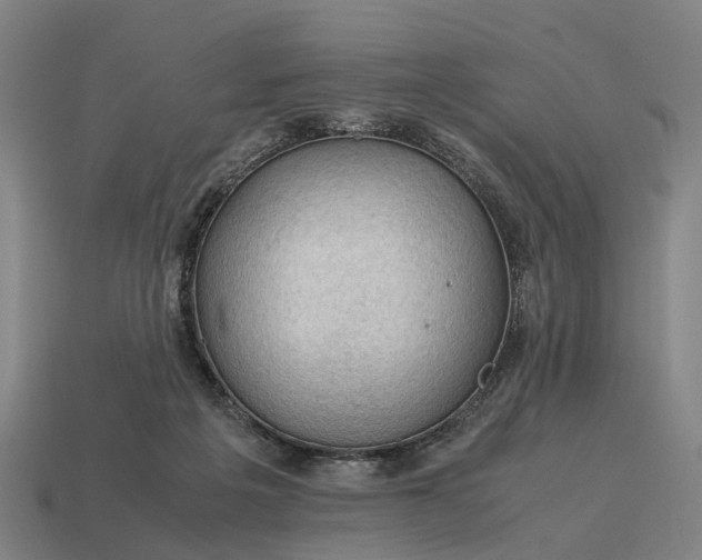 X0000115100217200911101551