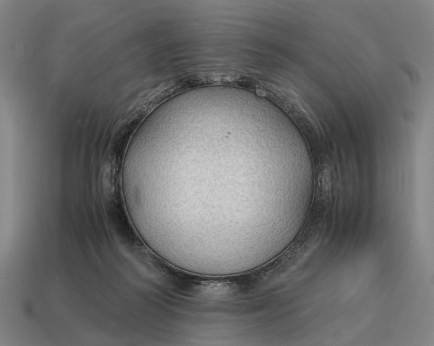 X0000115100218200911101551