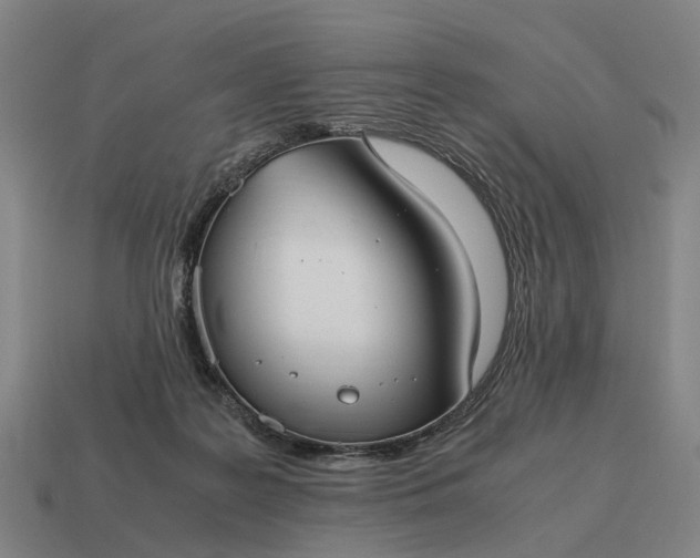X0000115100219200911101551