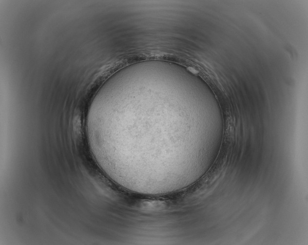 X0000115100220200911101551