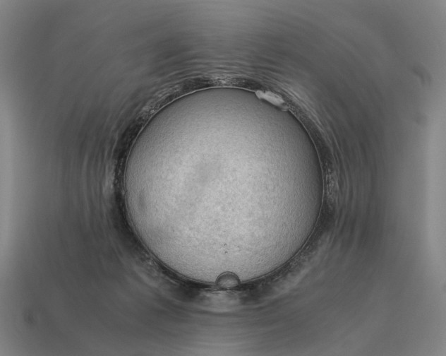 X0000115100221200911101551