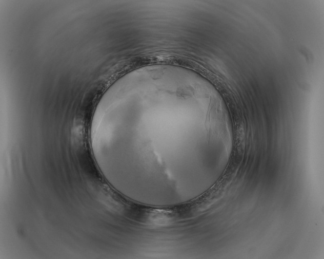 X0000115100222200911101551