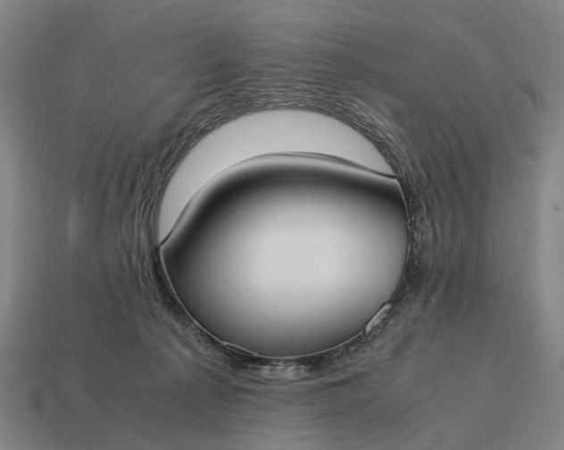 X0000115100225200911101551